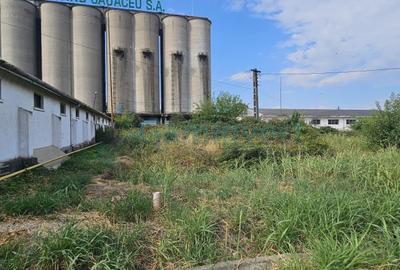 Teren pentru dezvoltare comerciala in Oradea 57000 mp, zona mixta intravilan - 10