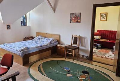 Vila spatioasa, hale si teren total 1700 mp, Calea Surii Mici, Sibiu - 14
