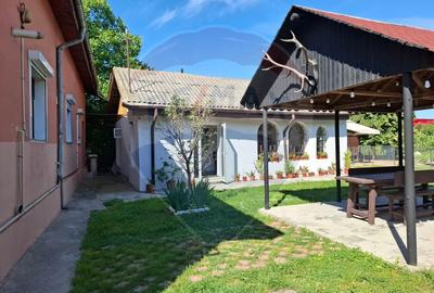 Afumati - vanzare casa si anexe cu teren intravilan, suprafata 700 mp - 14