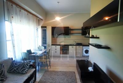 Apartament cu 2 camere semidecomandat, mobilat în Iris