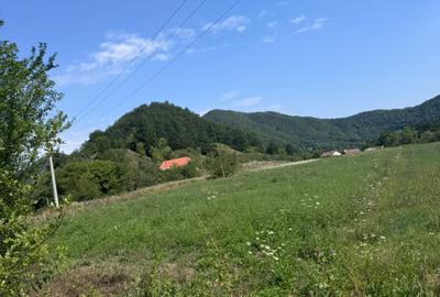 Teren 3600 mp Cheile Nerei - Optiune plata in transe! - 3
