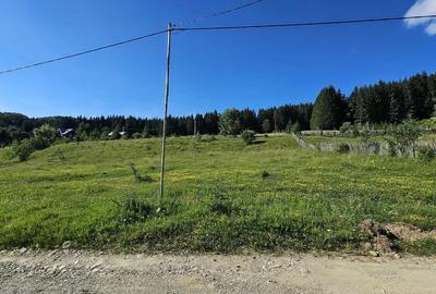 Teren intravilan Traisteni, Valea Doftanei – 2.290 mp, deschidere mare, padure - 4
