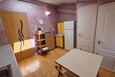 NOU! Apartament 1 camera 48mpGara Facultatea de Litere si Piata Garii - 12