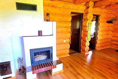 Cabana cu 7 camere de vanzare in Albac - V10073 - 39