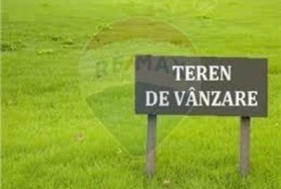 Vânzare teren extravilan 10,124mp Budesti + opțiune comasare - 1
