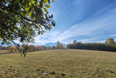 5.800 mp extravilan, Sohodol-Bran, retreat, cabane, off-grid ecoturism, panorama - 5