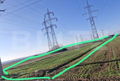 Teren agricol extravilan de 5000 mp, în Sud