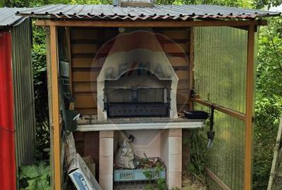 Domeniu rural, gospodarie/multifunctionala cu casa, livada, vie - 51