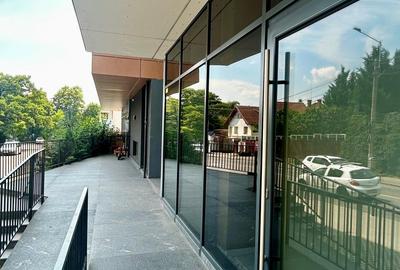 Spatiu comercial de inchiriat - Grigorescu - 1