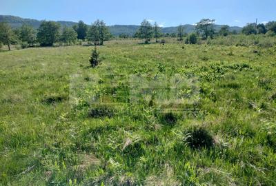 Teren Construcții extravilan de 5000 mp, în Vicovu de Jos