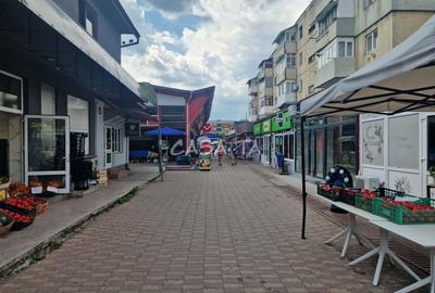 Apartament 2 camere ,situat in Rovinari, Aleea Pietei (Central) - 10