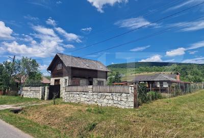 Casă cu 2 clădiri, foișor generos și teren de 3300 mp - Cornesti - 1