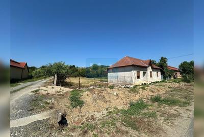 Casa intr-o zona linistita, Bucosnita - 10