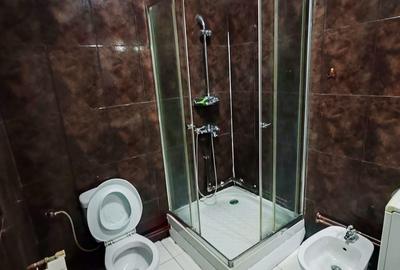Apartament 3 camere situat intr-o vila la etj 1 pt locuinta sau firma - 14