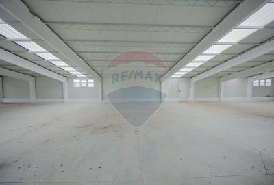 De vânzare – 2 hale industriale, 5.050 mp utili, Palota - 12