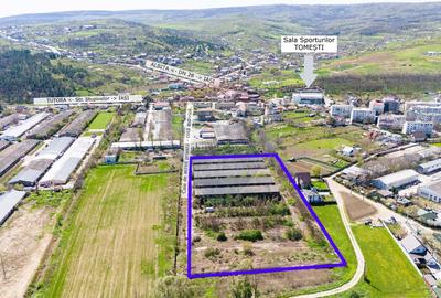 Teren Construcții intravilan de 13067 mp, în Tomești