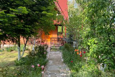 Inchiriem cabana in Calimanesti (Seaca), cu ponton la Olt, gradina - 1