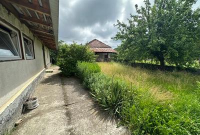 Amarasti Nemoiu in apropiere de Dragasani si Valcea - 7