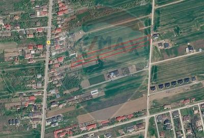 Teren Construcții intravilan de 7013 mp, în Balotești