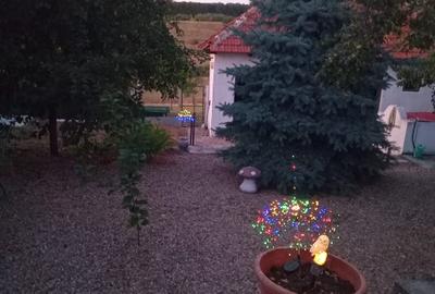 Casă individuală cu 2 camere în Șauaieu
