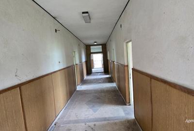 Constructii la strada in Cucorani pe 1 ha de teren - 11