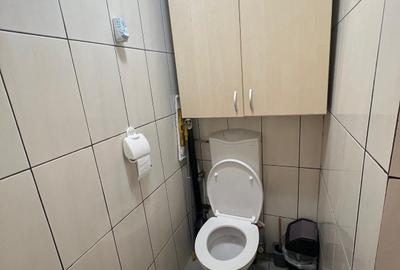 Casa Domenii Herăstrău, 4 camere, 2 băi, curte proprie. - 3