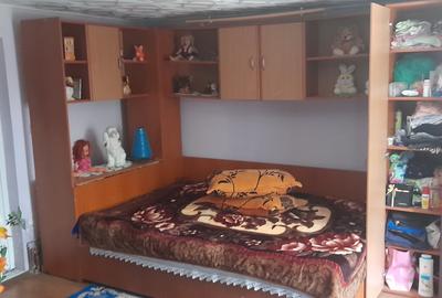 Casa in Finta sat Bechinesti - 12