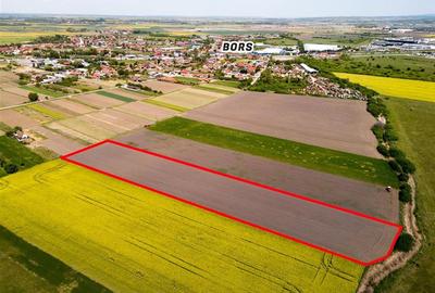 Teren Construcții intravilan de 13400 mp, în Borș