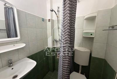 Garsoniera de vanzare, cheltuieli reduse, Zona Lipovei, Timisoara - 4