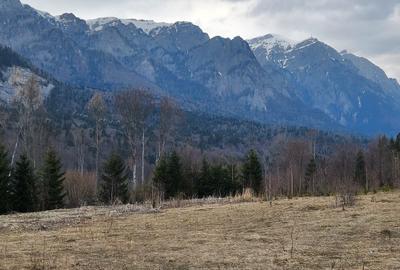 Teren 622 mp  in Sinaia - Zamora, priveliste peisagistică spre Bucegi! - 3