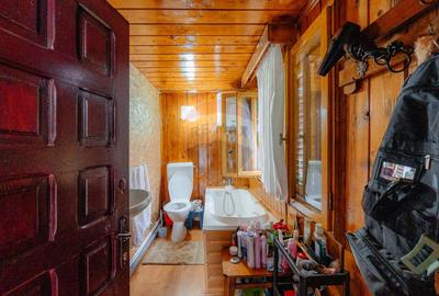 Pensiune de vânzare, Corbșori (Poenari)| potențial real de Business - 47