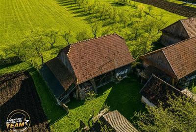 FILM! Domeniu de 6.221mp, livada pomi fructiferi+casa si anexe,Lemnia, Covasna - 33