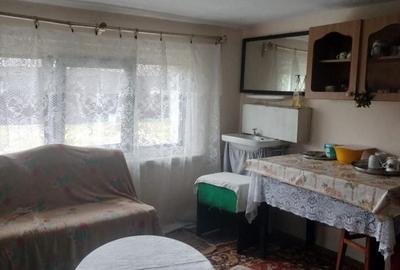 🏡 CASĂ + TEREN INTRAVILAN 4.971 MP – URECHEȘTI, VRANCEA - 8
