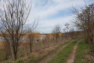 Vanzare teren intravilan, Lacul Sarulesti, 1.000 mp, comision 0% - 4