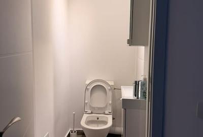 Loft 150 mp cu terasa proprie si intrare separata, Ion Mihalache / Clucerului - 8