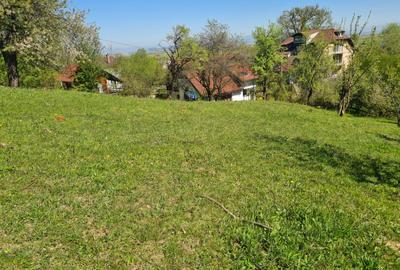 Teren deosebit - 1500 mp, Poiana Angelescu, Str. Livezii - 2