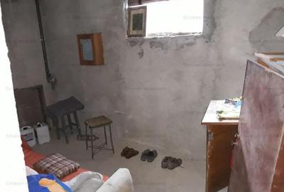 Vila D+P+M 230mp construiti la GRI, teren=591mp Brailita - 7