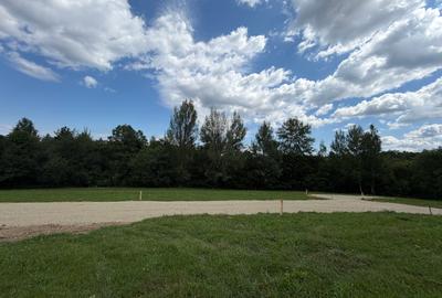 Teren intravilan zona Zarnesti-Tohanita,langa padure  1000 mp - 8