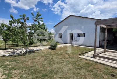 Vilă Premium P+1 renovată recent (2026), 6 camere, 1.000 mp teren – Colacu, DB - 8