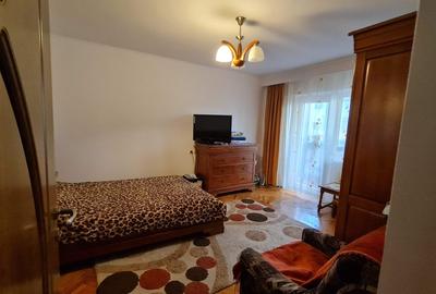 Apartament decomandat 3 camere + living de vanzare in zona Ostroveni - 9