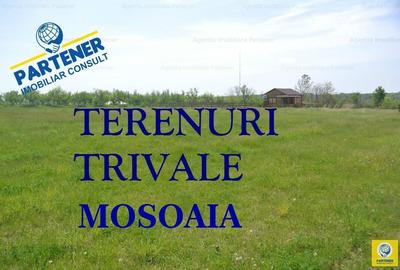 Teren Construcții intravilan de 533 mp, în Trivale