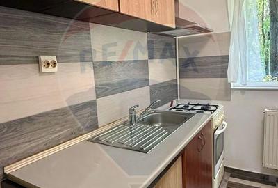 Apartament cu 2 camere de vânzare în zona Drumul Taberei - 17