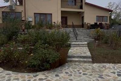Vila superba Oancea DN teren1171mp - 8