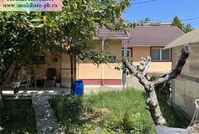 Casa de vanzare - Valea Calugareasca - 4
