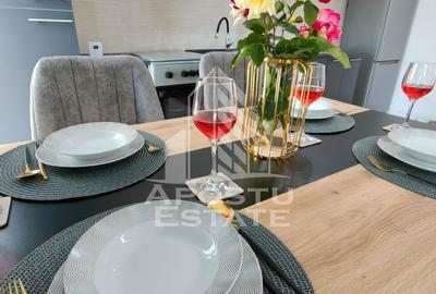 Apartament tip penthouse,nou,terasa 60 mp,Mehala - 14