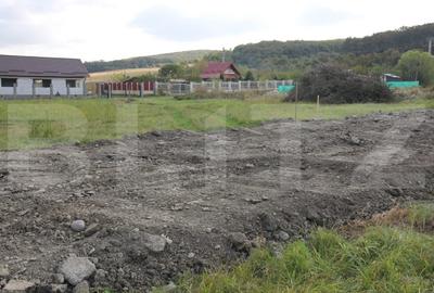 Teren Construcții extravilan de 900 mp, în Livezeni