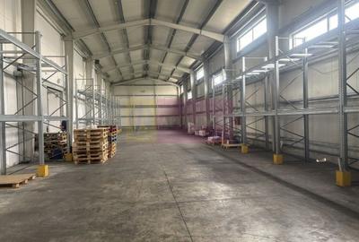 Hale industriale cu parcari multiple Bragadiru Sos Alexandriei stradal - 19