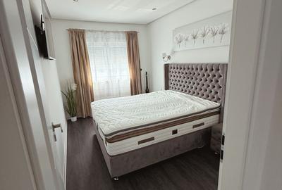 Duplex 136 mp utili Mosnita Noua direct proprietar - 6