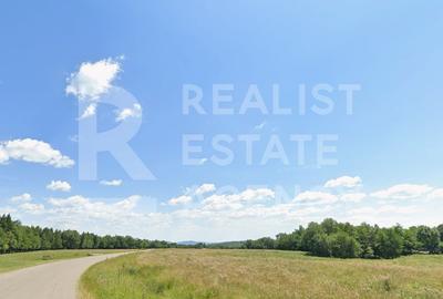Teren intravilan 4,2 ha de vânzare| ideal investiție| POT 40%| Prahova - 3