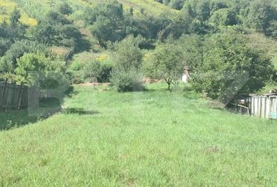 Teren Construcții intravilan de 1600 mp, în Est